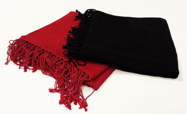 beautiful-normal-pashmina-stoles-1.jpg