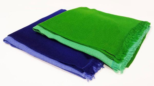 fine-bulbul-shaded-pashmina-stole.jpg