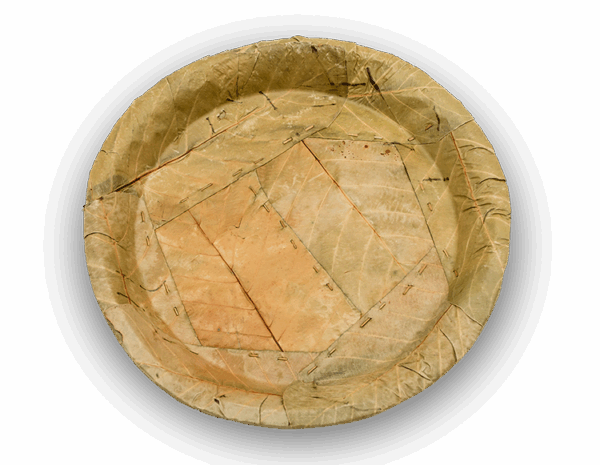 tapari-4-layer-2 tapari-4-layer-2