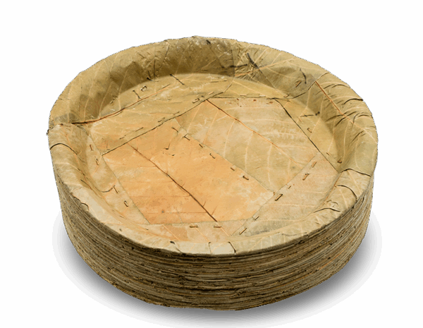 Large Tapari