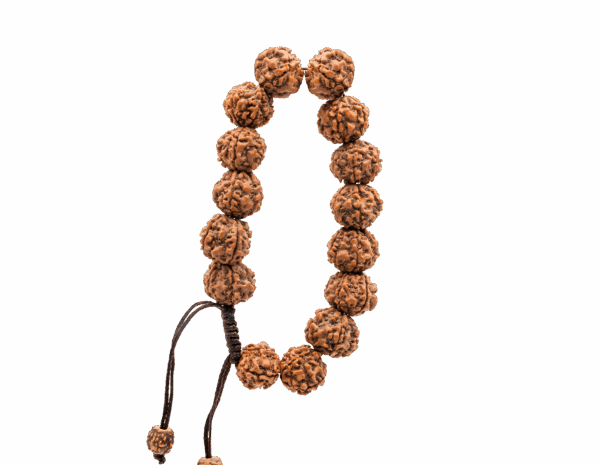 Rudraksha Bracelet Rudraksha Bracelet