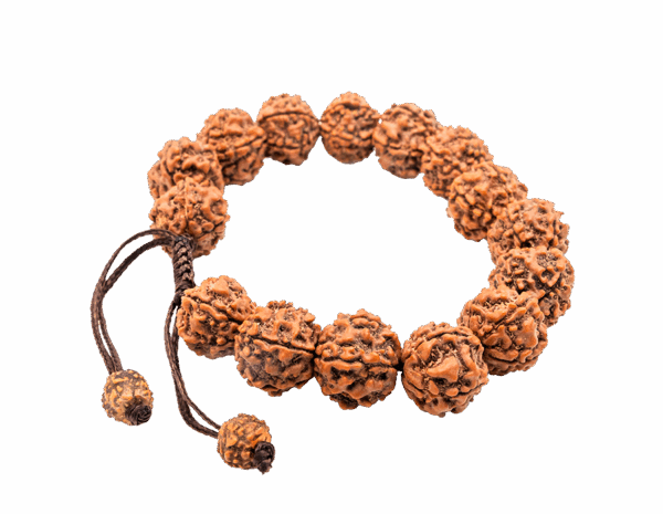 Rudraksha Bracelet Rudraksha Bracelet