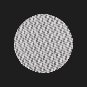 Round Silicone Momo Mat – Non-Stick Steaming Sheet for Momo & Dumplings