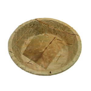 Sal leaf tapari Medium