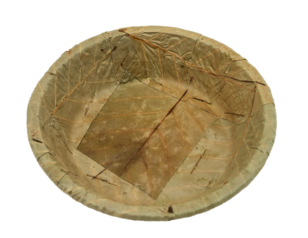 Sal leaf tapari Medium