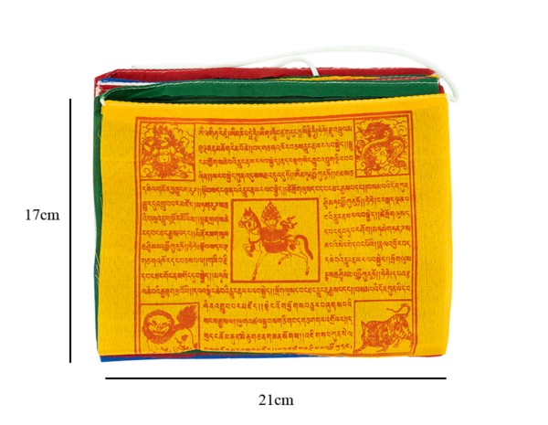 AT_02905 a AT_02905 a