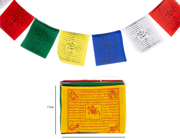 AT_02905 a small 1 AT_02905 a small 1